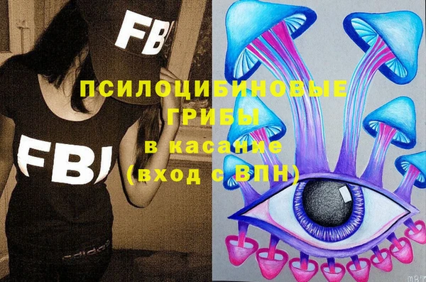 дмт Кулебаки
