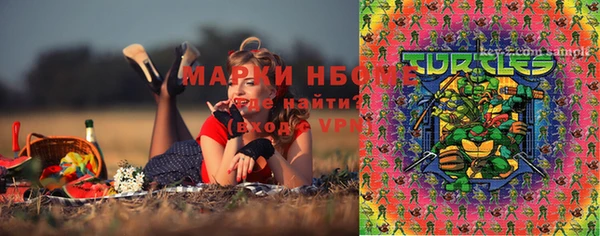дмт Кулебаки