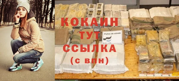 молекула духа Ладушкин