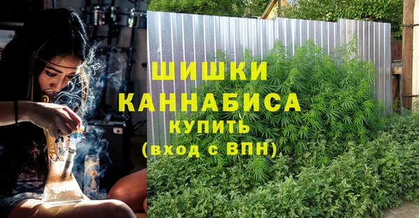 Альфа ПВП Лагань