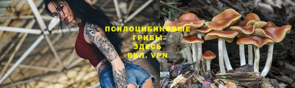 дмт Кулебаки