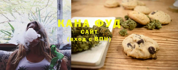 молекула духа Ладушкин