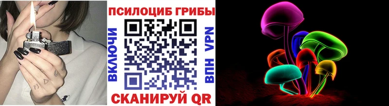 Галлюциногенные грибы Magic Shrooms закладки Павловская